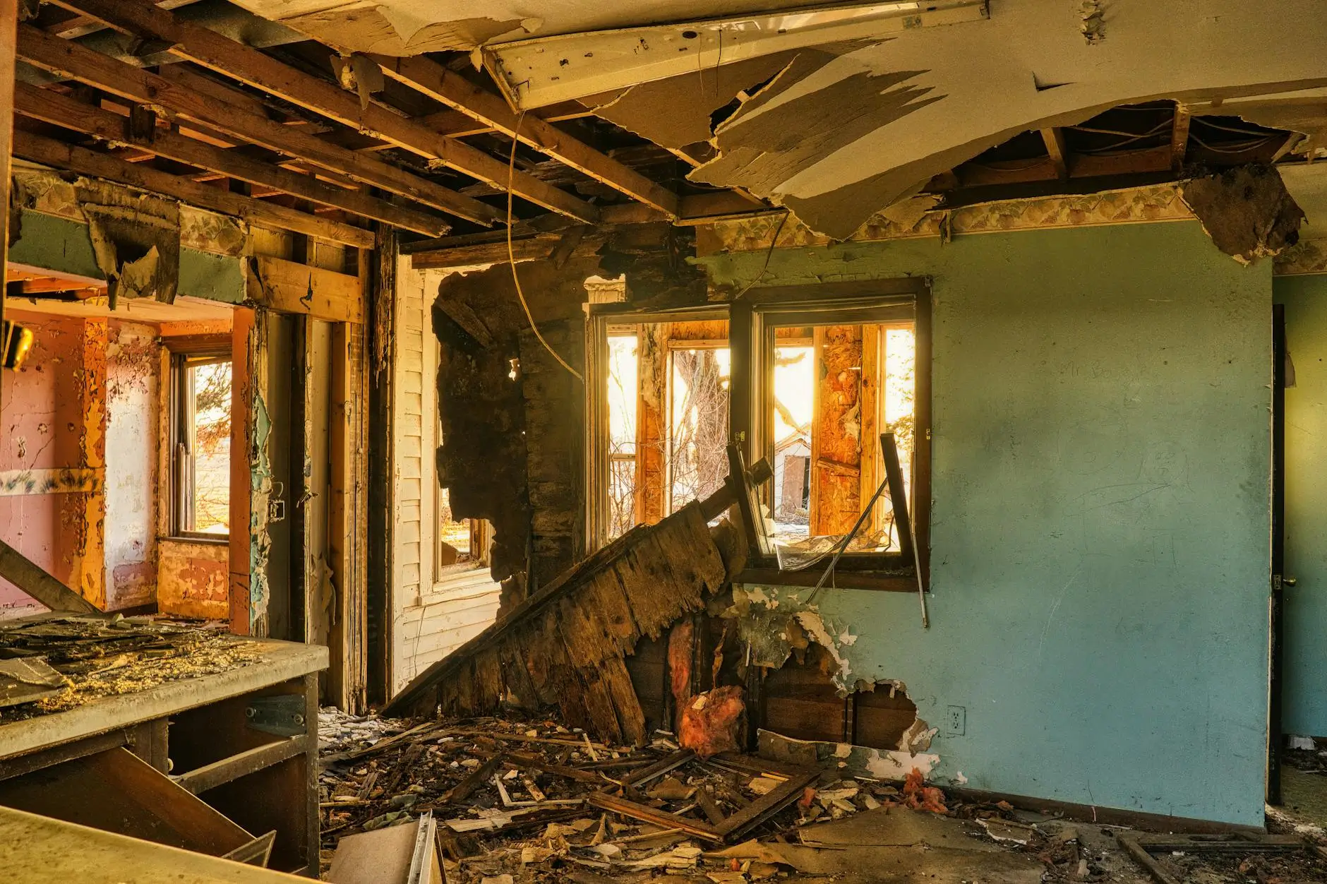 Leading Mold Removal Company in Lakeland, Florida — Lakeland, FL